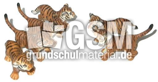 Tiger-4+2.jpg
